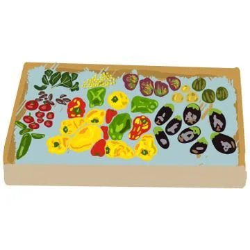 Box with fresh vegetables. Stock Illustration