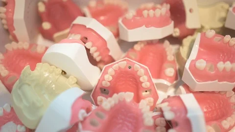 Box full of dental plaster models Stock Footage 118270881