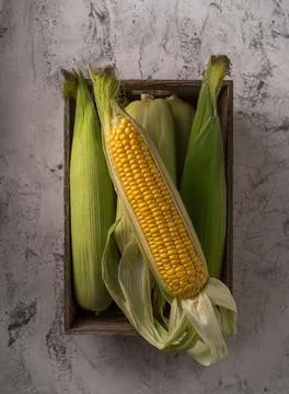 Box full of fresh corn cobs on the old concrete Stock Photos