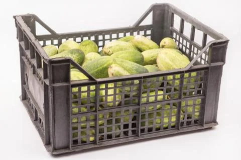 Box full with fresh cucumbers over white background Stock Photos