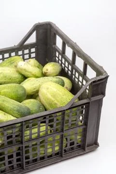 Box full with fresh cucumbers over white background Stock Photos