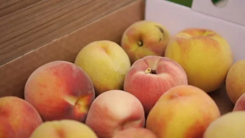 Box full of fresh picked peaches Stock Footage 87270183