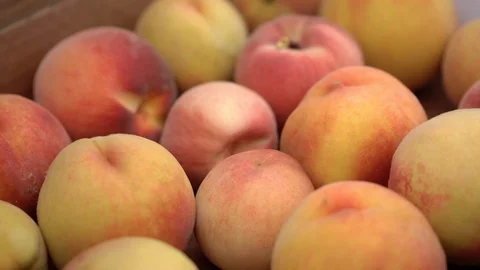 Box full of fresh picked peaches Vidéo 87291997