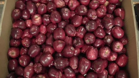 Box Full of red apples top shot 스톡 동영상 79832396