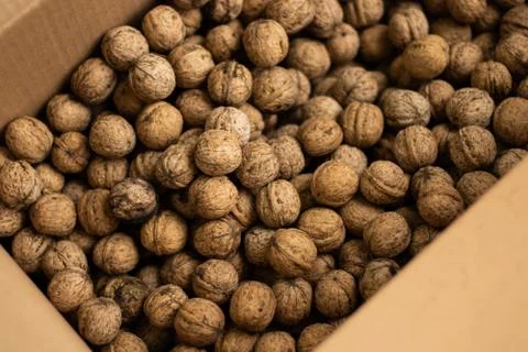 A box full of walnuts Stock Photos