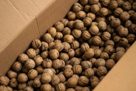 A box full of walnuts Stock Photos