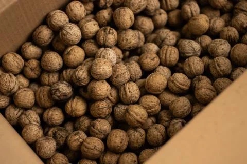 A box full of walnuts Stock Photos