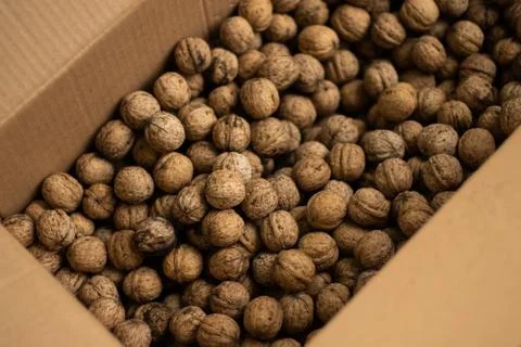 A box full of walnuts Stock Photos