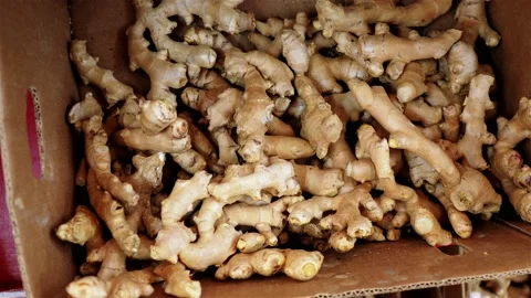 Box of ginger root in supermarket Stock-Footage 220038727