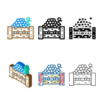 Box of grapes color multistyle icon vector Ilustración de archivo