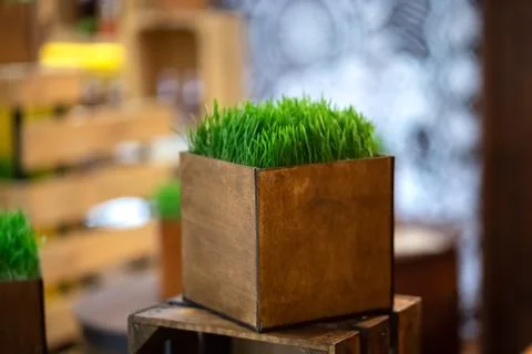Box with grass Stock Photos