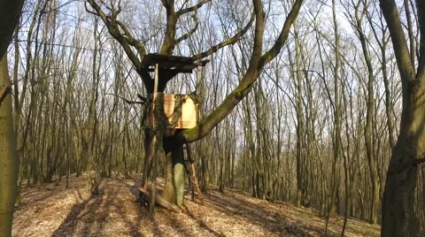 Box Hunting Stand In The Forest Stock Footage 61783966