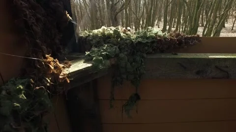 Box Hunting Stand In The Forest Stock Footage 61784203