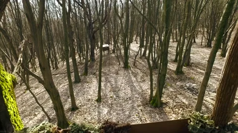 Box Hunting Stand In The Forest Stock Footage 61784217