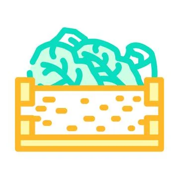 Box lettuce color icon vector illustration Ilustración de archivo