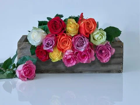 A BOX OF MULTI COLORED ROSES Foto stock