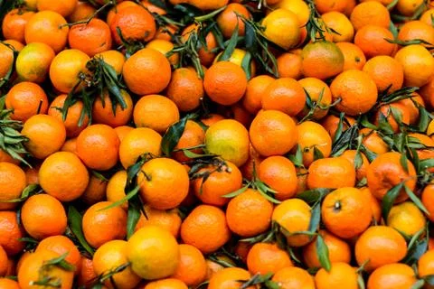 Box of oranges Stock Photos