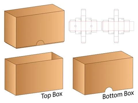 Box packaging die cut template design. 3d mock-up Stock Illustration