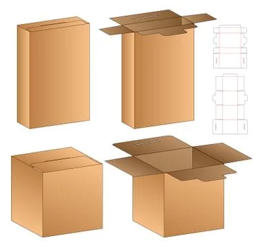 Box packaging die cut template design. 3d mock-up Stock Illustration