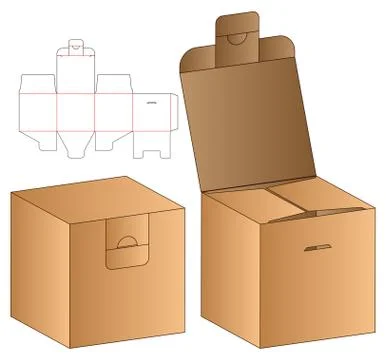 Box packaging die cut template design. 3d mock-up Stock Illustration