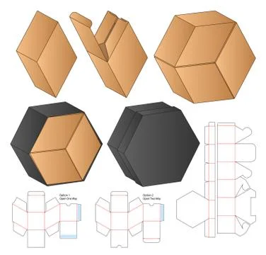 Box packaging die cut template design. 3d mock-up Stock Illustration