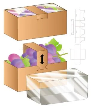 Box packaging die cut template design. 3d mock-up Stock Illustration