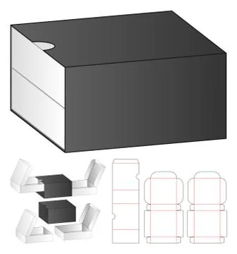 Box packaging die cut template design. 3d mock-up Stock Illustration
