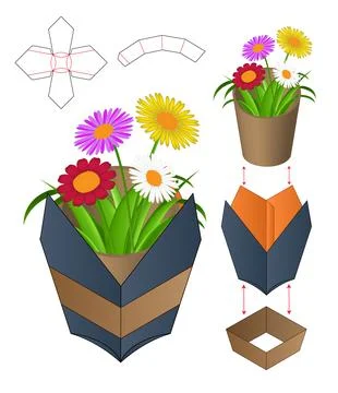 Box packaging die cut template design. 3d mock-up Stock Illustration