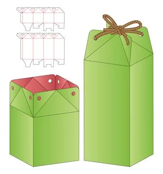 Box packaging die cut template design. 3d mock-up Stock Illustration