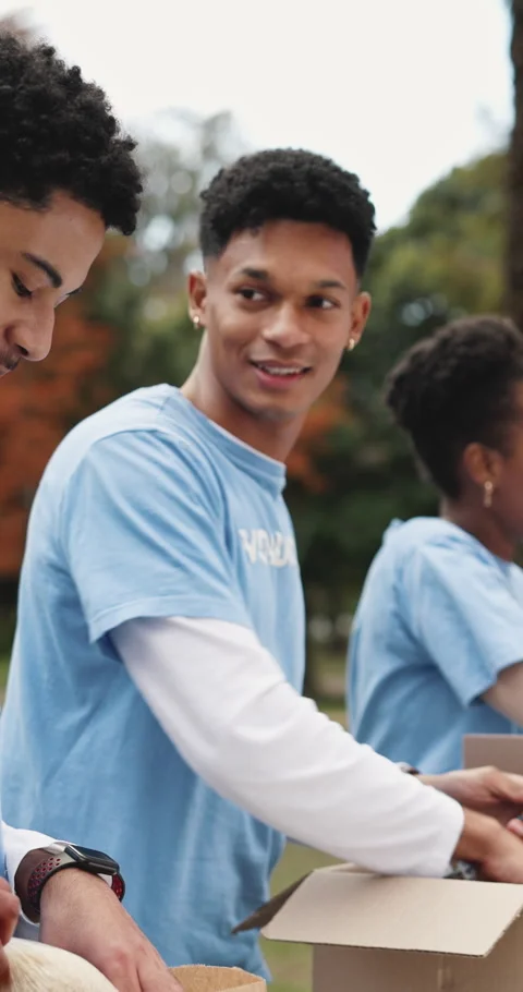 Box, packing and volunteer group in park together for charity, community Stock Footage 334025642