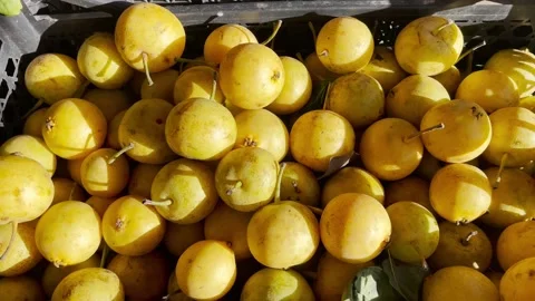 A box of pears 스톡 동영상 220612909