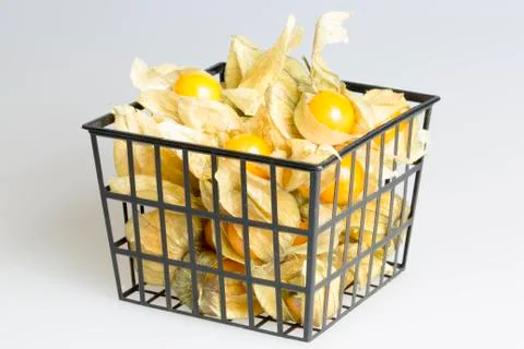 Box of Physalis Fruit Stock Photos