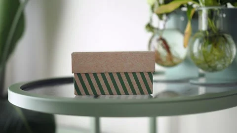 Box placed on a table with plants in the background Stock Footage 340303790