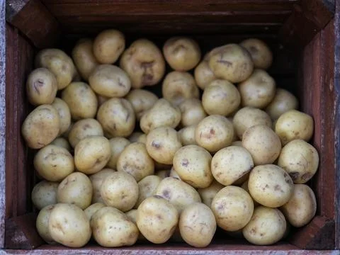 Box Of Potatoes 스톡 사진