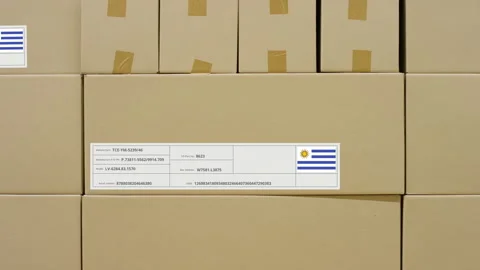Box with printed MADE IN URUGUAY text and flag sticker in a warehouse Stock Footage 139422139