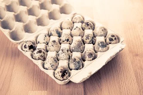 Box with quail eggs Stock Photos