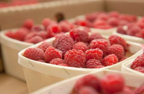 Box of raspberries Stock Photos