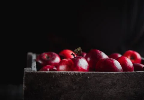 Box with red apples on black background. Stock Photos
