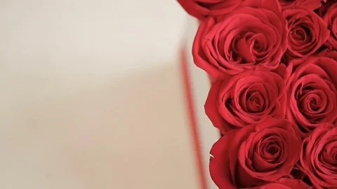 Box of Red Roses with Gift Card 库存影片 76475625