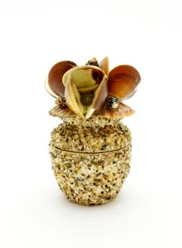 The box with seashells Stock Photos