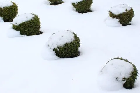 Box in the snow Stock Photos