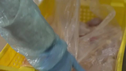 Box with sorted chicken fillets,  sealed before being sent for export Stock Footage 233806534