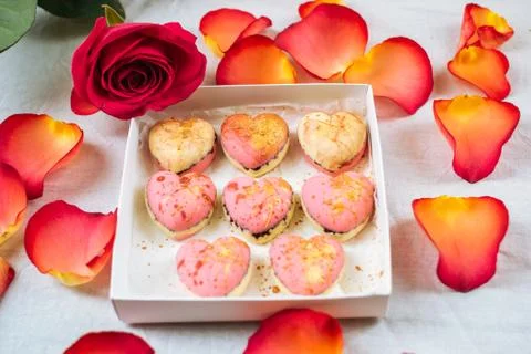 A box of sweets in the forms of hearts around the petals and rose Stock Photos