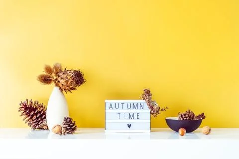 Box with text FALL TIME, dried flowers, thorns in light vase, pine cones and Stock Photos