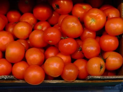Box of tomatoes Stock Photos