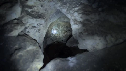 Box turtle crawling through a dark cave Stock Footage 330554810