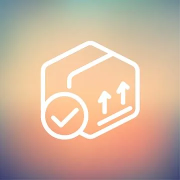 Box with validation mark thin line icon イラスト素材
