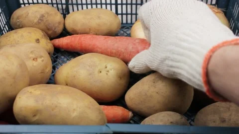 Box with vegetables close-up. Potatoes, carrots and onions.Harvest. Stock Footage 194288837