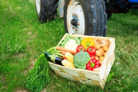 Box With Vegetables Next To A Tractor 스톡 사진