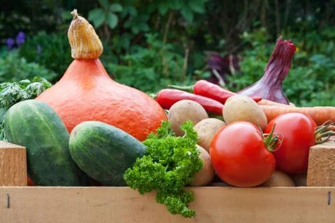Box with vegetables Foto stock